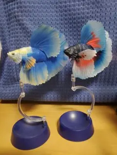 いきもの大図鑑アドバンス　ガチャポン　ベタ×2