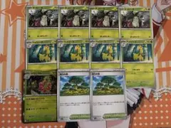 【ポケカ】　チコリータ　ベイリーフ　メガニウム　活力の森