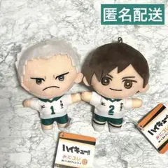 ハイキュー!! みにコレ！ぬいぐるみ マスコット 二口堅治 青根高伸 ③