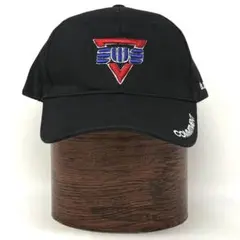 Item thumbnail for item 56a81dc8-4945-418e-b037-e4c89cd21661