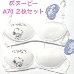 Item thumbnail for item 51f08e52-a5ef-4c19-ae1d-cde6af5bc039