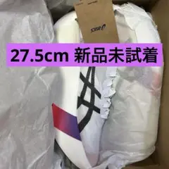【公式オンライン購入品】ASICS metaspeedray 27.5cm