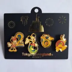 東京ディズニーランド　2000年　ピンバッジ　セット