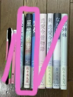 佐々木丸美 『風花の里』