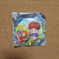 デジモンアドベンチャー　光子郎　テントモン　缶バッジ　REALWORLD