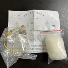 Item thumbnail for item 8bcd132a-3132-4516-bcfd-add8cfe6fe32