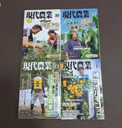 【専用】現代農業 2024 2025 10月号 11月号 12月号 1月号