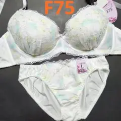 【新品未使用】ブラショーツセット F75 934601 白×イエローグリーン