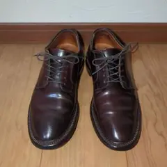 ALDEN　＃2938F cordovan 6 B/D