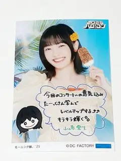 モーニング娘。'25　山﨑愛生　L判生写真　ハロ！コン 2025