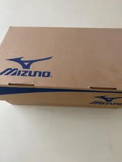 Mizuno ウォーキングシューズ LS025 ブラック