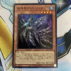 揺海魚デッドリーフ　スーパー　23TP