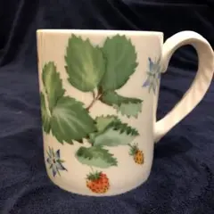 ウェッジウッド チェルシーガーデン マグカップ 1個 美品