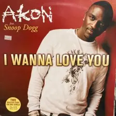 Akon/"I wanna love you" Feat Snoop 12'EU