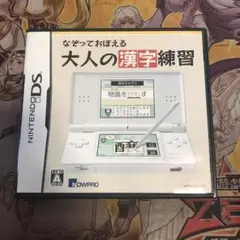 なぞっておぼえる大人の漢字練習　DS ソフト