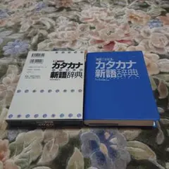 カタカナ新語辞典