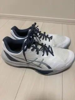 AISCS SKY ELITE FF 3 スカイエリート 27cm