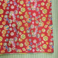 金蘭　幅70cm×50cm 6