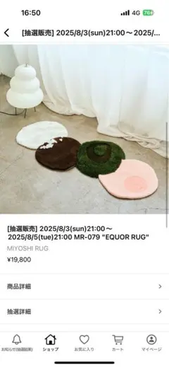 MIYOSHI RUG MR-079 EQUOR RUG