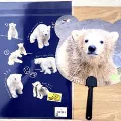八木山　ホッキョクグマの双子クリアファイルとうちわセット