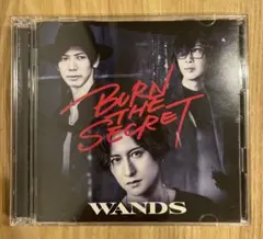WANDS BURN THE SECRET 初回限定版　【CD +DVD】