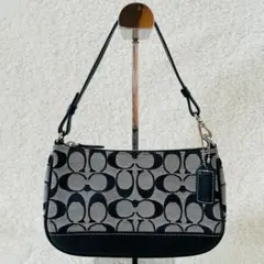 Item thumbnail for item 0f5f3999-7807-4e2b-a59d-58cfb3fa84aa