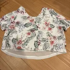 EMODA 花柄 クロップド丈 トップス F