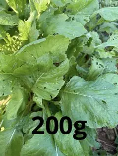 Item thumbnail for item 1f337418-1550-4966-b0d5-871104d07361