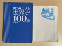 実力をつける世界史100題 Z-KAI 改訂第3版　山川　世界史　一問一答第三版