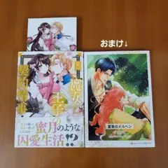 魔女と王子の契約情事　TSUTAYA特典イラストカード付き&夏草のメルヘン