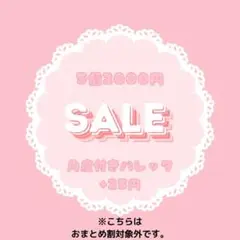 SALEꕤ限定1セットꕤ5個2000円①