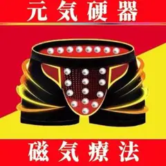 【元気硬器】磁気療法パンツ2枚組、精力剤サプリ精力増強剤増大サプリもいいけど・・