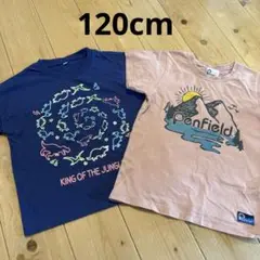 Tシャツ　2枚セット