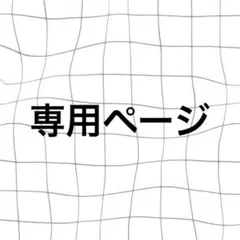 専用ページ