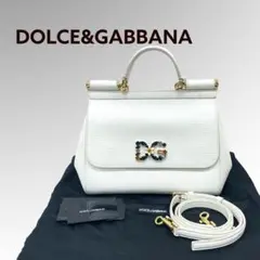 ドルチェ&ガッバーナ シシリー DGクリスタル リザード型押しレザーハンドバッグ
