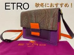 【希少!秋冬準備に!】ETRO エトロ フェルト レザー ショルダーバッグ