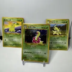 メガニウム進化ライン 旧裏 おいしげる ポケモンカードゲーム セット