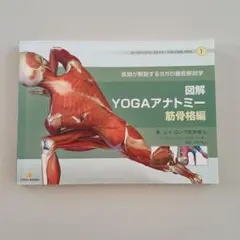 YOGAアナトミー 筋骨格編
