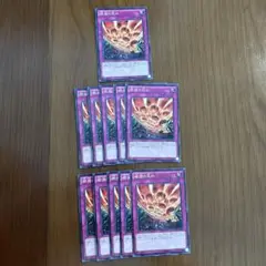 遊戯王 絶滅の定め ノーマル 11枚セット