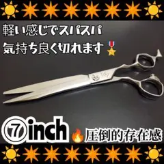 Item thumbnail for item 3e384d5e-87ee-45a4-921c-069b5d8ca4fe