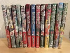 ぎんぎつね 1-13巻