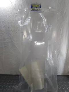 Item thumbnail for item 0b640497-791f-4b4c-9d25-1fed8317f8f8