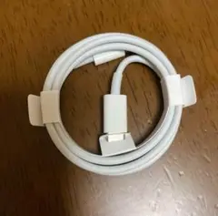 iPhone 充電器 純正 タイプCライトニングケーブル Apple正規品