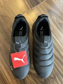 Item thumbnail for item 18198c45-8187-45a9-afa2-9fd8b8208b5d