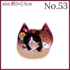 Item thumbnail for item 2c56163f-4d43-4907-bfb5-7b1bd3cbab2a