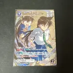 【即購入OK】 名探偵コナンカード MR 毛利蘭 江戸川コナン