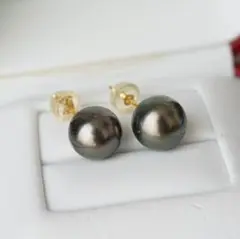 ピアス タヒチ パール 9mm 黒蝶貝 ゴールド