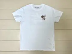 ビラボン　レディースTシャツ