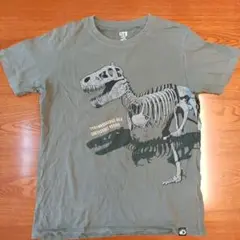 UT 恐竜骨格デザイン Tシャツ サイズ150