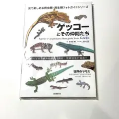 ゲッコーとその仲間たち